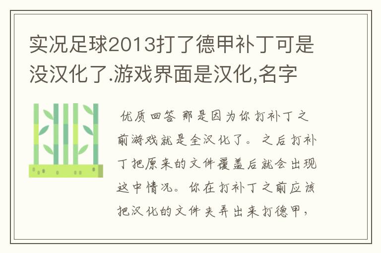 实况足球2013打了德甲补丁可是没汉化了.游戏界面是汉化,名字没有汉化.而且球队对标全乱了