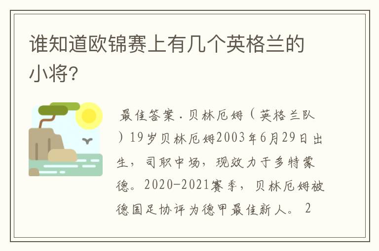 谁知道欧锦赛上有几个英格兰的小将?