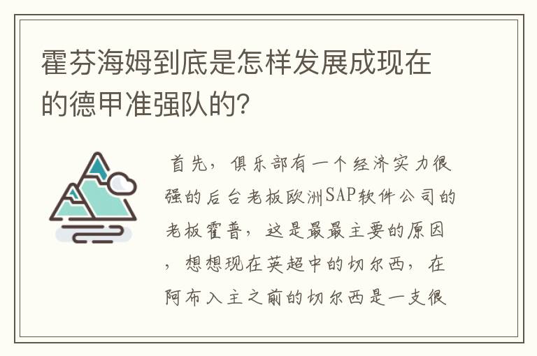 霍芬海姆到底是怎样发展成现在的德甲准强队的？