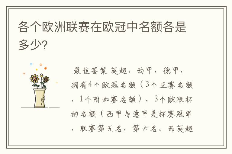 各个欧洲联赛在欧冠中名额各是多少？