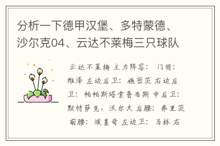 分析一下德甲汉堡、多特蒙德、沙尔克04、云达不莱梅三只球队的人员打法和阵型