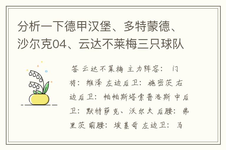 分析一下德甲汉堡、多特蒙德、沙尔克04、云达不莱梅三只球队的人员打法和阵型