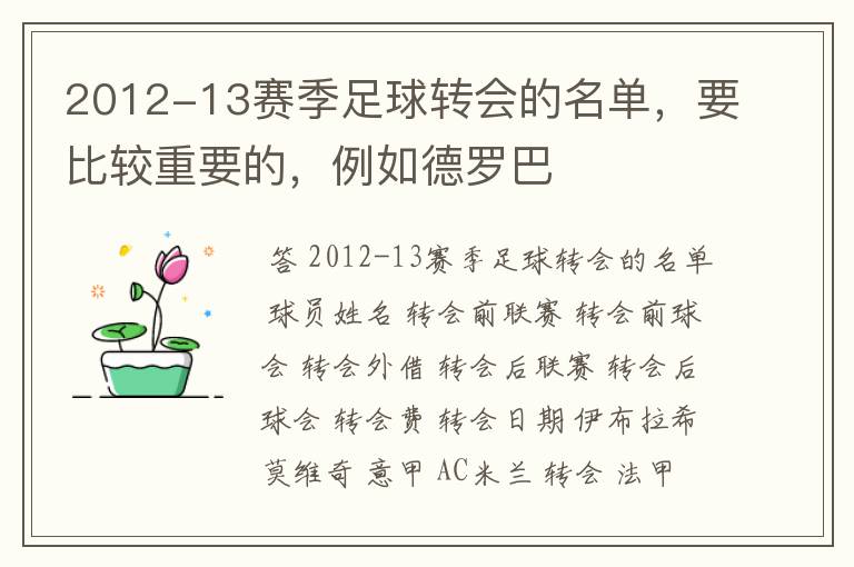 2012-13赛季足球转会的名单，要比较重要的，例如德罗巴