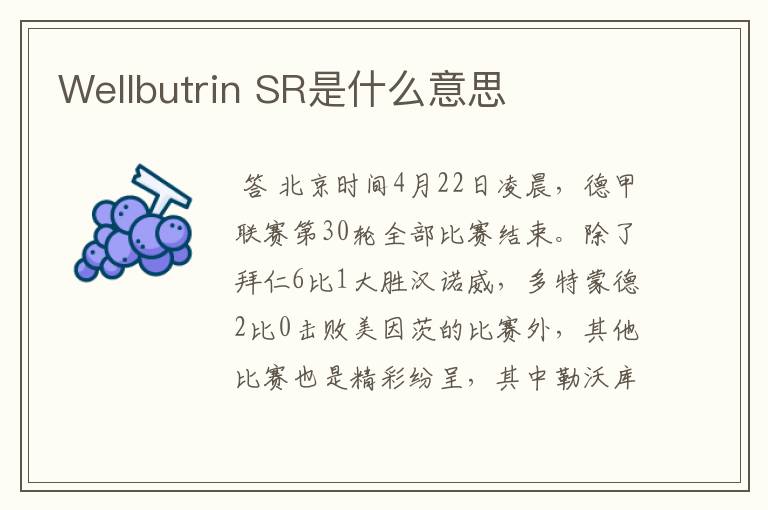 Wellbutrin SR是什么意思