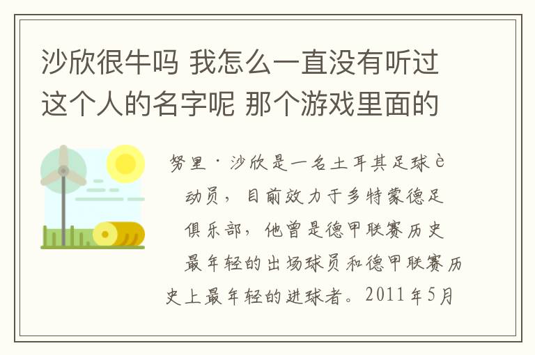 沙欣很牛吗 我怎么一直没有听过这个人的名字呢 那个游戏里面的那个Nari是不是沙欣？