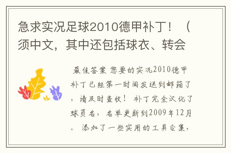 急求实况足球2010德甲补丁！（须中文，其中还包括球衣、转会更新）