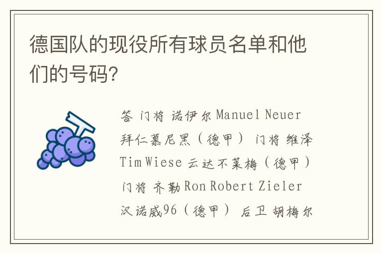 德国队的现役所有球员名单和他们的号码？