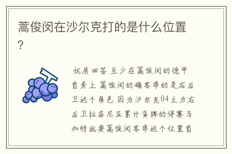 蒿俊闵在沙尔克打的是什么位置？