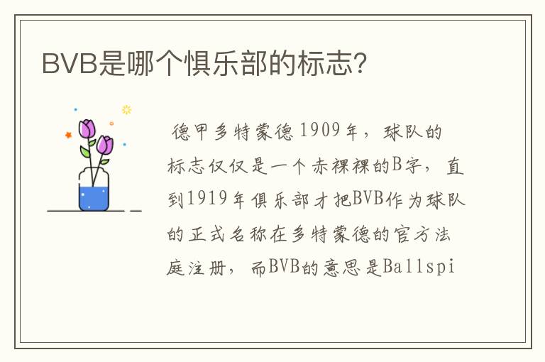 BVB是哪个惧乐部的标志？