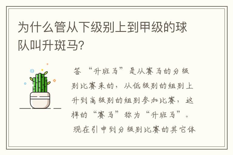 为什么管从下级别上到甲级的球队叫升斑马？