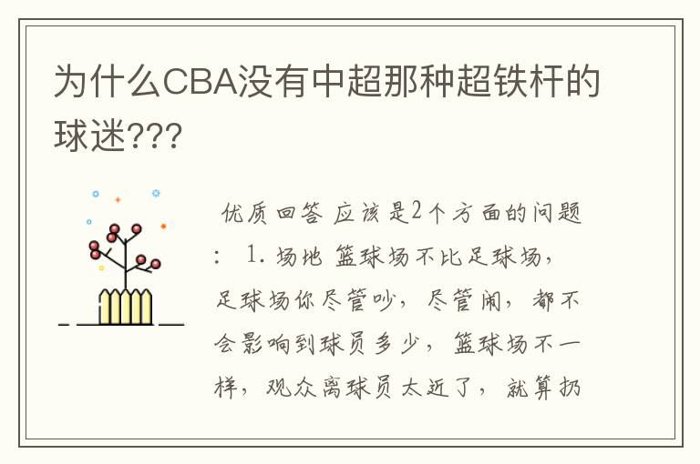 为什么CBA没有中超那种超铁杆的球迷???