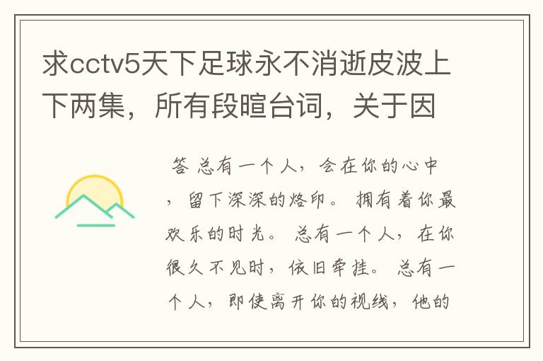 求cctv5天下足球永不消逝皮波上下两集，所有段暄台词，关于因扎吉的