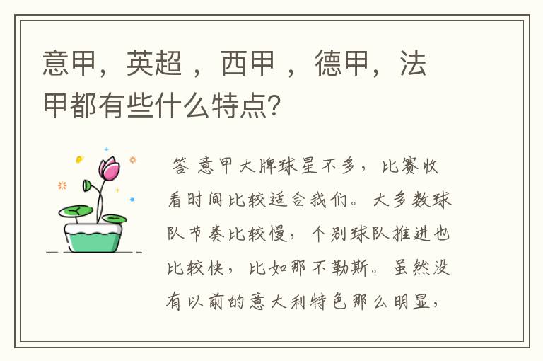 意甲，英超 ，西甲 ，德甲，法甲都有些什么特点？