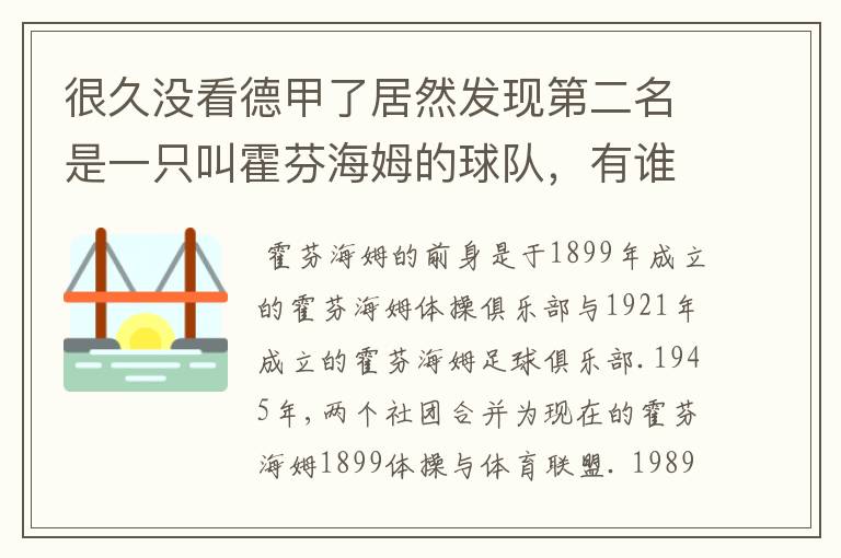 很久没看德甲了居然发现第二名是一只叫霍芬海姆的球队，有谁知道吗