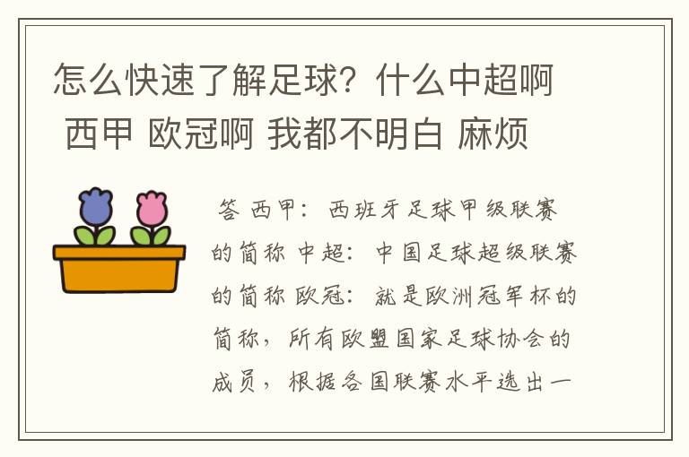 怎么快速了解足球？什么中超啊 西甲 欧冠啊 我都不明白 麻烦 有哪位特别了解足球的 跟我讲讲，多谢