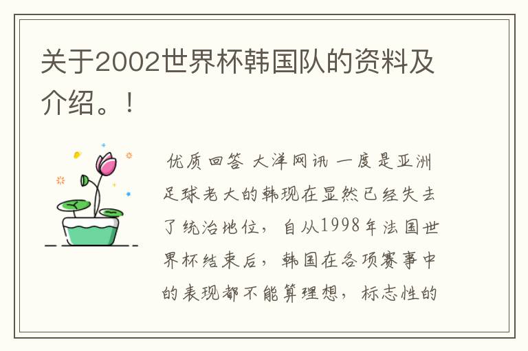 关于2002世界杯韩国队的资料及介绍。！