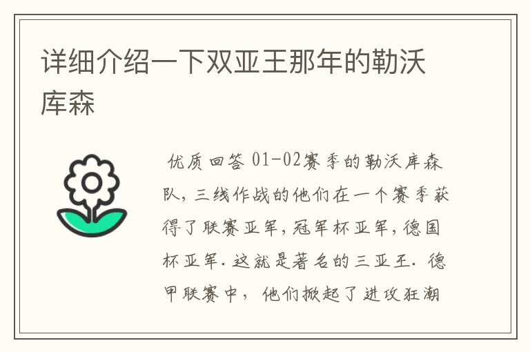 详细介绍一下双亚王那年的勒沃库森