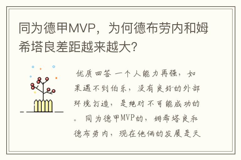 同为德甲MVP，为何德布劳内和姆希塔良差距越来越大？