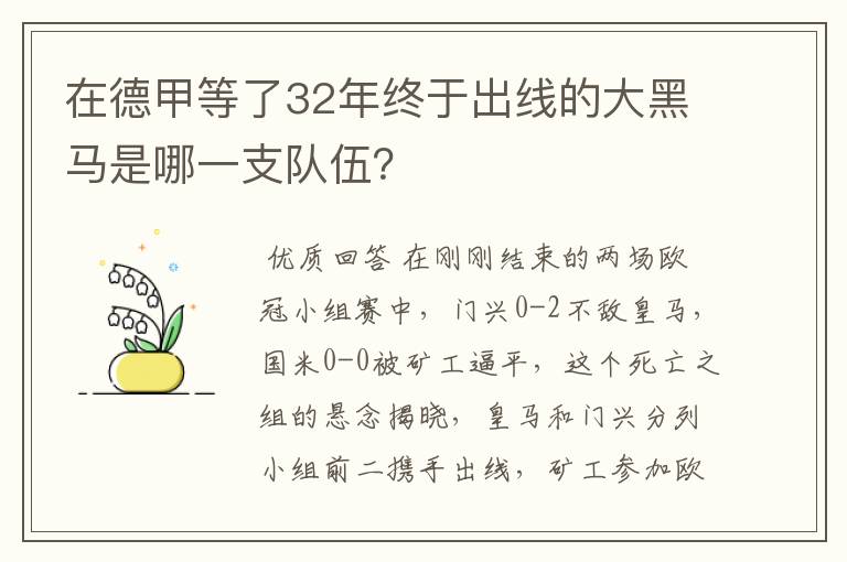 在德甲等了32年终于出线的大黑马是哪一支队伍？