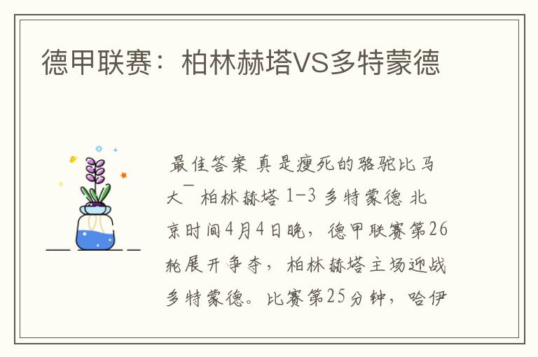 德甲联赛：柏林赫塔VS多特蒙德