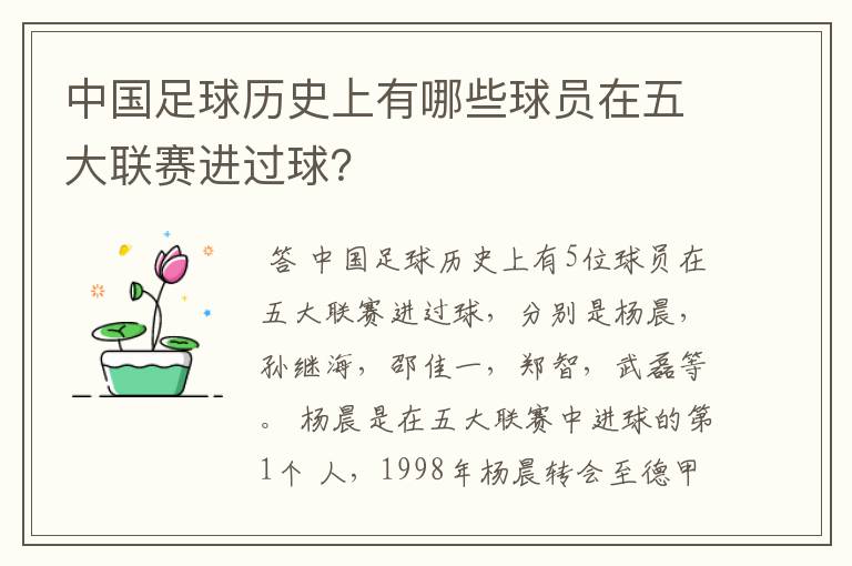 中国足球历史上有哪些球员在五大联赛进过球？