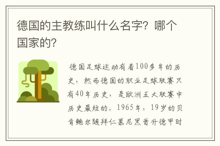 德国的主教练叫什么名字？哪个国家的？