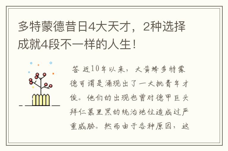 多特蒙德昔日4大天才，2种选择成就4段不一样的人生！