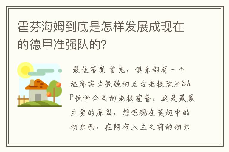 霍芬海姆到底是怎样发展成现在的德甲准强队的？