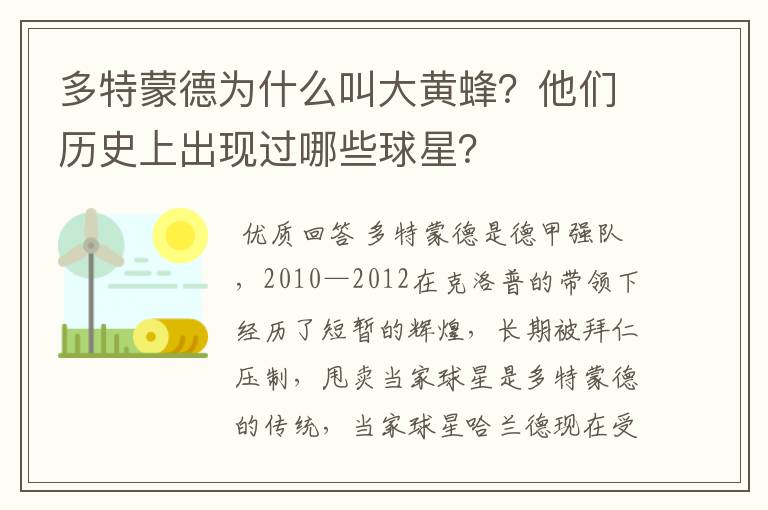 多特蒙德为什么叫大黄蜂？他们历史上出现过哪些球星？