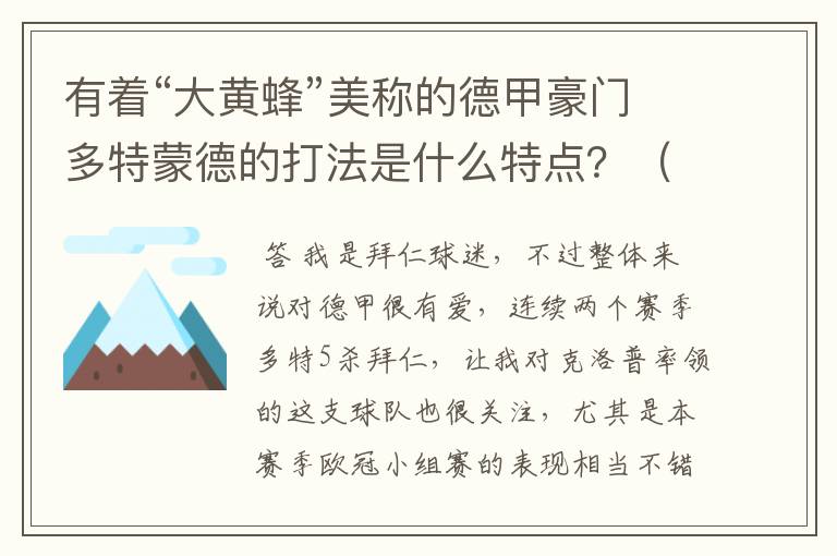 有着“大黄蜂”美称的德甲豪门多特蒙德的打法是什么特点？（请多特蒙德资深球迷回答）