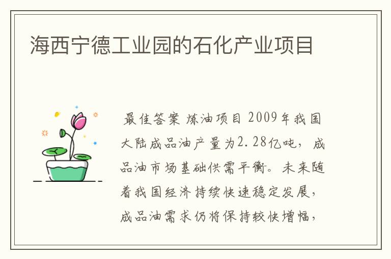 海西宁德工业园的石化产业项目