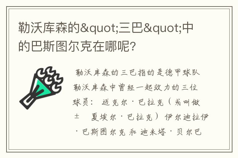 勒沃库森的"三巴"中的巴斯图尔克在哪呢?