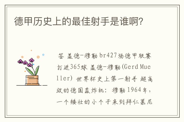 德甲历史上的最佳射手是谁啊？