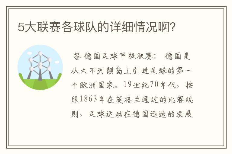 5大联赛各球队的详细情况啊？