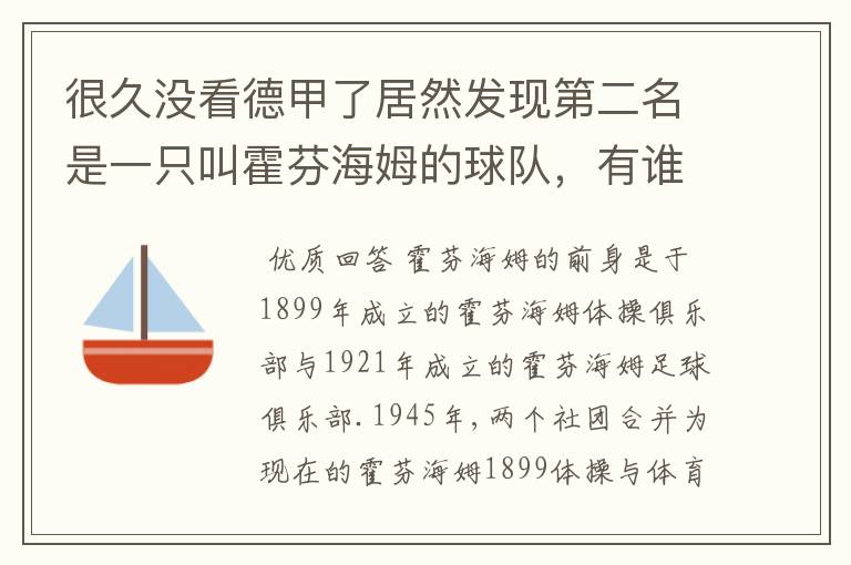 很久没看德甲了居然发现第二名是一只叫霍芬海姆的球队，有谁知道吗