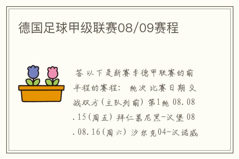 德国足球甲级联赛08/09赛程