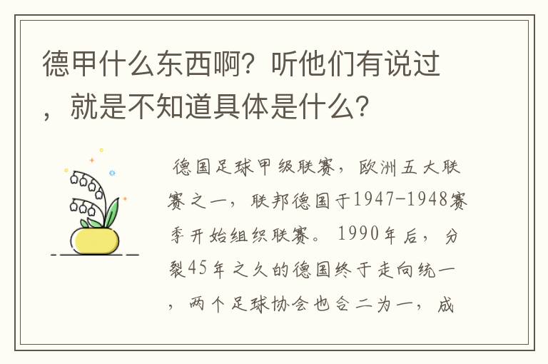 德甲什么东西啊？听他们有说过，就是不知道具体是什么？