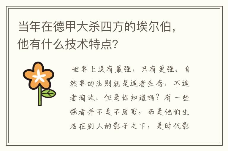 当年在德甲大杀四方的埃尔伯，他有什么技术特点？