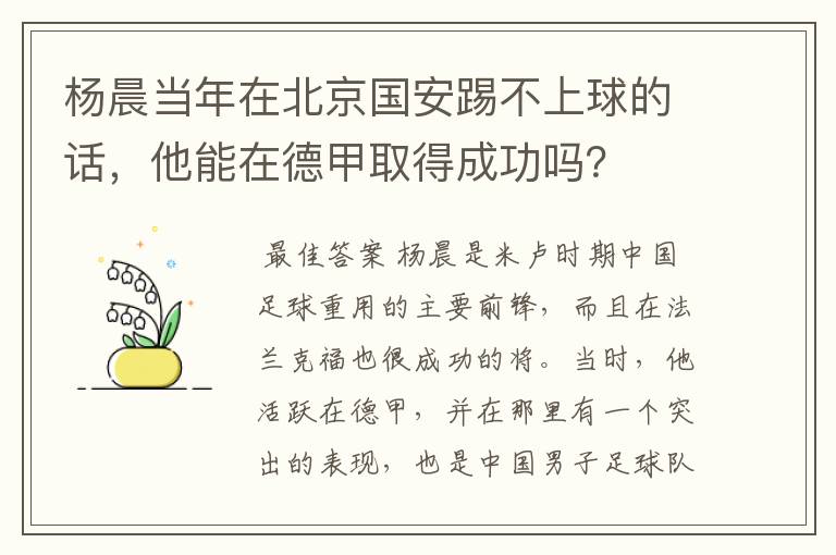 杨晨当年在北京国安踢不上球的话，他能在德甲取得成功吗？