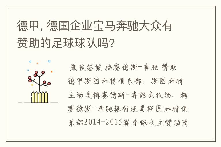 德甲, 德国企业宝马奔驰大众有赞助的足球球队吗?