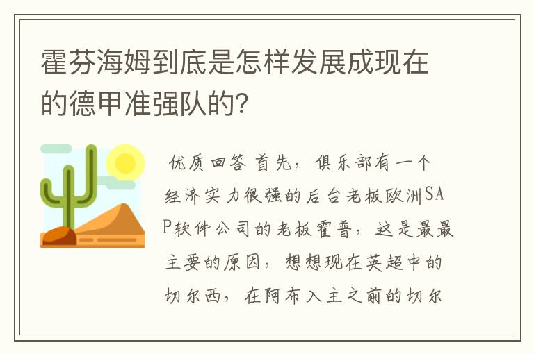 霍芬海姆到底是怎样发展成现在的德甲准强队的？