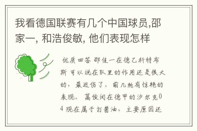 我看德国联赛有几个中国球员,邵家一, 和浩俊敏, 他们表现怎样啊. 还有哪些球员在海外效力啊.