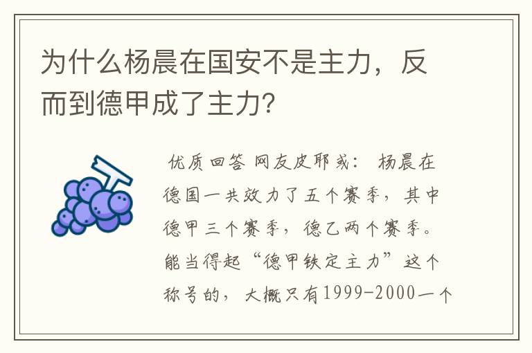 为什么杨晨在国安不是主力，反而到德甲成了主力？