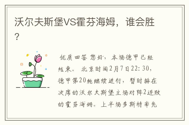 沃尔夫斯堡VS霍芬海姆，谁会胜?