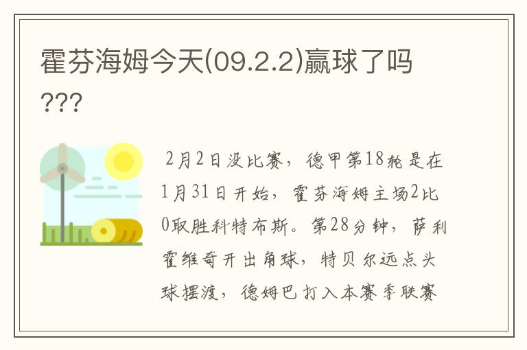 霍芬海姆今天(09.2.2)赢球了吗???