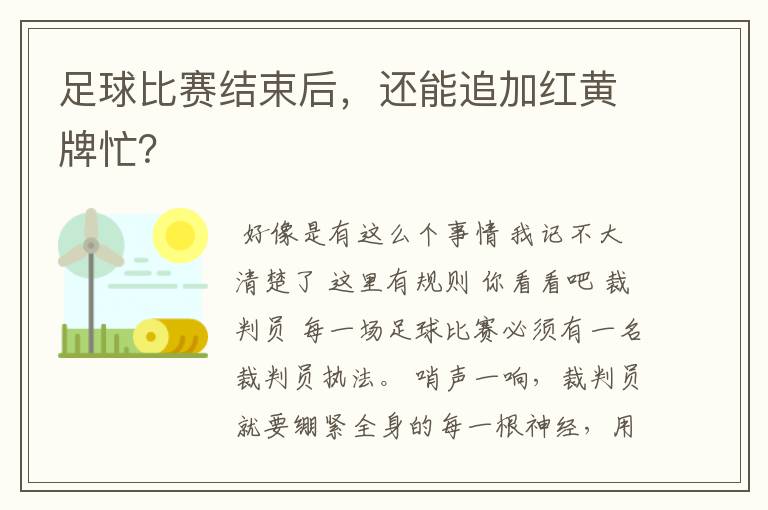 足球比赛结束后，还能追加红黄牌忙？