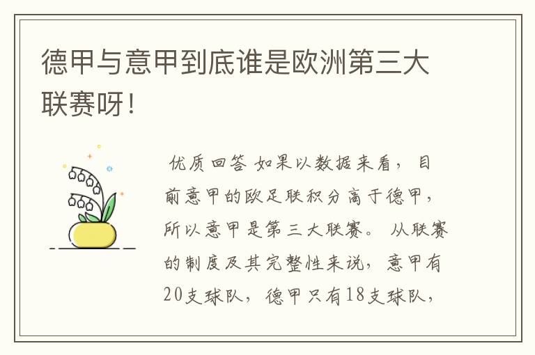 德甲与意甲到底谁是欧洲第三大联赛呀！