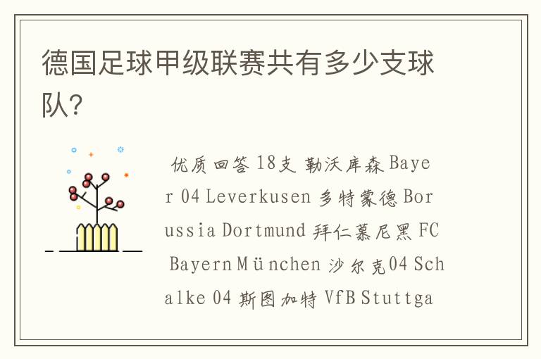 德国足球甲级联赛共有多少支球队？
