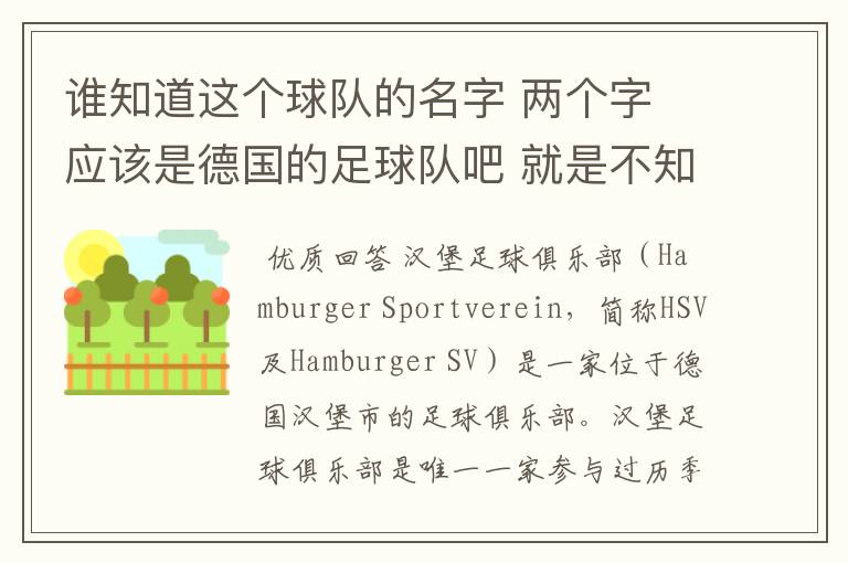 谁知道这个球队的名字 两个字 应该是德国的足球队吧 就是不知道叫什么