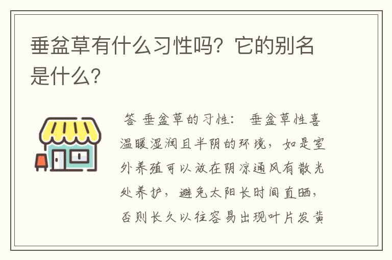 垂盆草有什么习性吗？它的别名是什么？